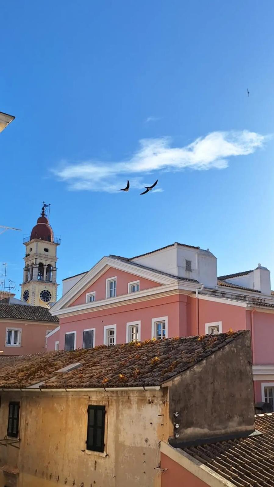 Atticstudiotheotoki Apartment Corfu (city)